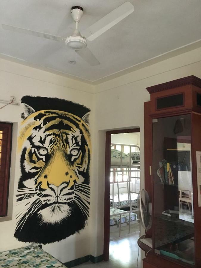 The Lost Hostel, Madurai Luaran gambar